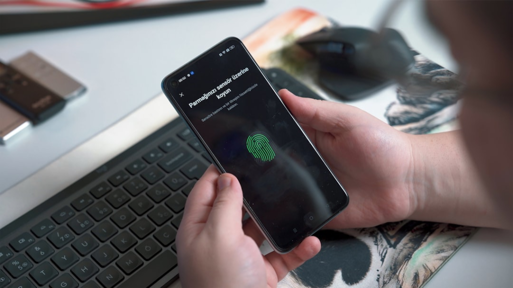 Smartphone fingerprint identity verification